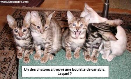 voila pk fo pa en prendre